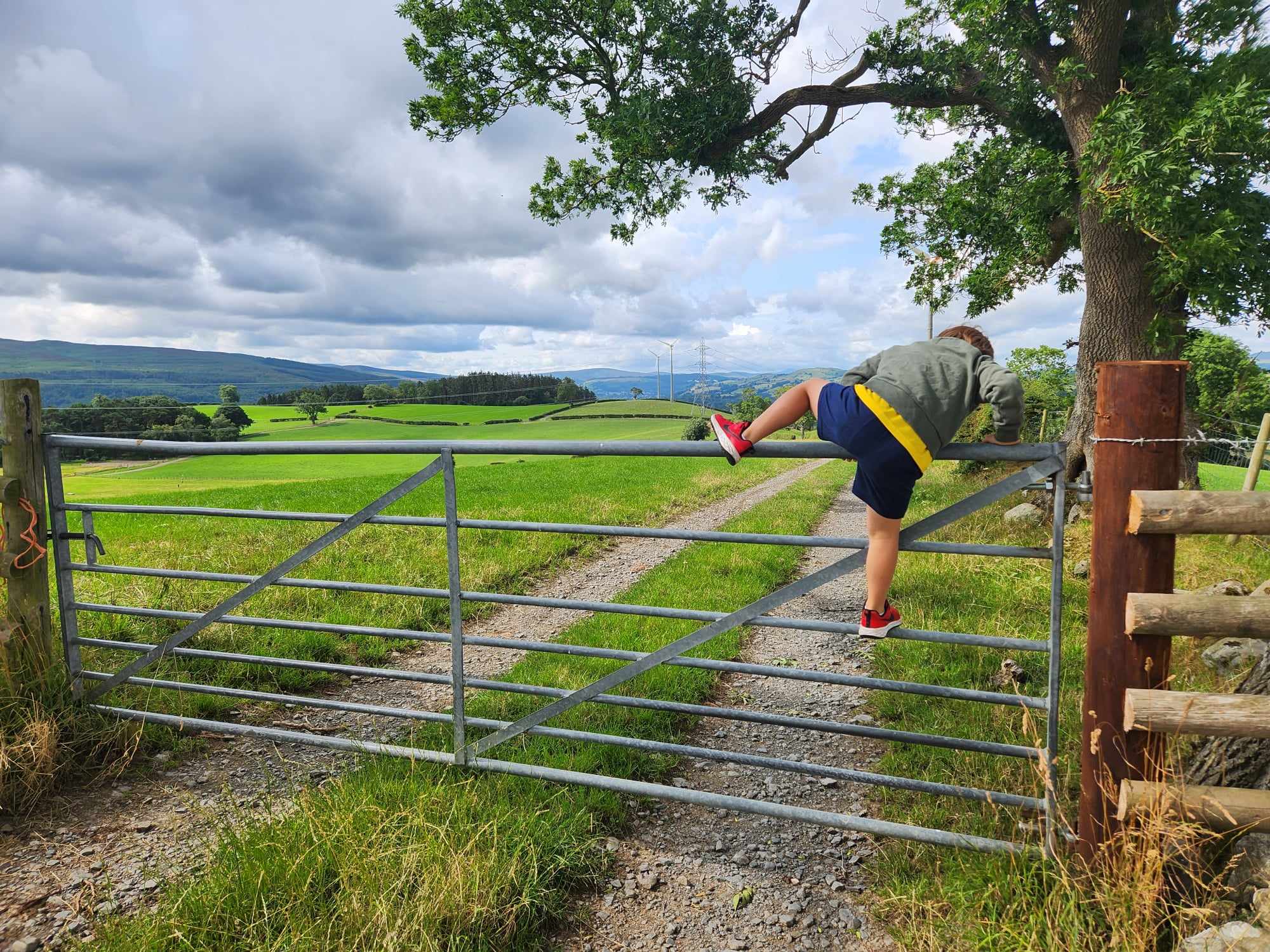 Child climbing fence